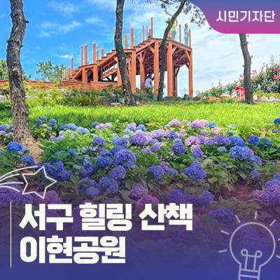이현공원 수국과 함께하는 힐링 산책