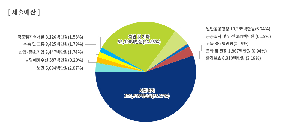 2013년 세출예산 원형그래프 : 사회복지 109,505백만원(55.27%), 지원 및 기타 53,198백만원(26.85%), 일반공공행정 10,385백만원(5.24%), 환경보호 6,310백만원(3.19%), 보건 5,694백만원(2.87%), 산업·중소기업 3,447백만원(1.74%), 수송 및 교통, 3,425백만원(1.73%), 국토및지역개발 3,126백만원(1.58%), 문화 및 관광 1,867백만원(0.94%), 농림해양수산 387백만원(0.20%), 공공질서 및 안전 384백만원(0.19%), 교육 382백만원(0.19%)