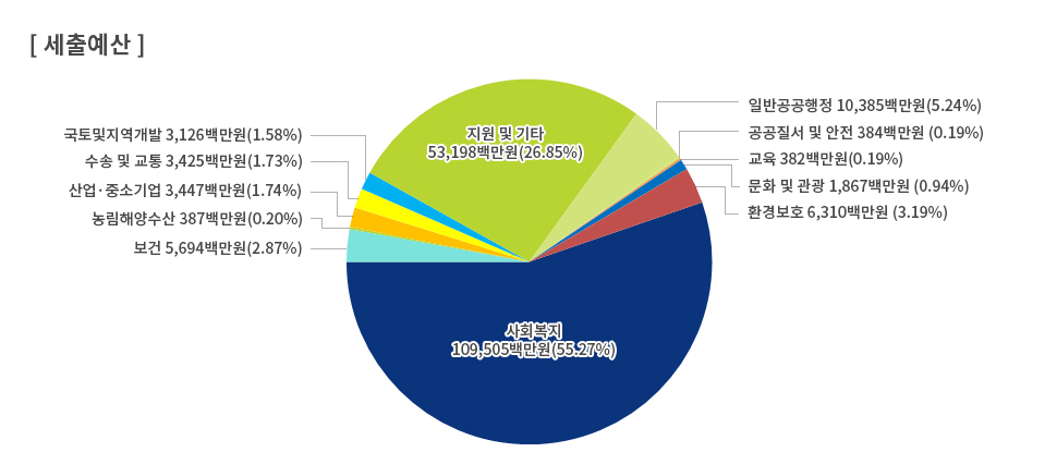 2013년 세출예산 원형그래프 : 사회복지 109,505백만원(55.27%), 지원 및 기타 53,198백만원(26.85%), 일반공공행정 10,385백만원(5.24%), 환경보호 6,310백만원(3.19%), 보건 5,694백만원(2.87%), 산업&middot;중소기업 3,447백만원(1.74%), 수송 및 교통, 3,425백만원(1.73%), 국토및지역개발 3,126백만원(1.58%), 문화 및 관광 1,867백만원(0.94%), 농림해양수산 387백만원(0.20%), 공공질서 및 안전 384백만원(0.19%), 교육 382백만원(0.19%)